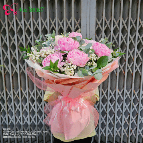 Hoa Mẫu Đơn - Vẻ Đẹp Viên Mãn Và Sang Trọng