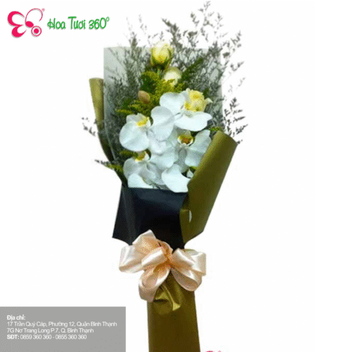 Hoa Lan Hồ Điệp - Sự Thanh Lịch Và Tinh Tế