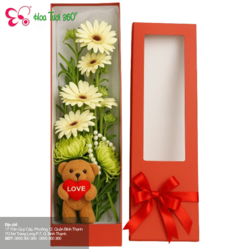 Hoa Đồng Tiền - Niềm Vui Và Hạnh Phúc Bên Nhau