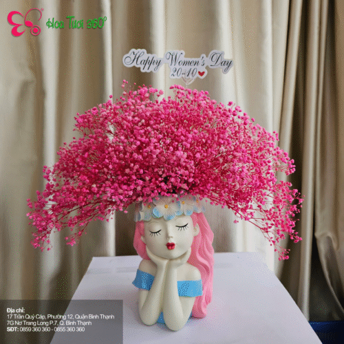Hoa Baby - Vẻ Đẹp Tinh Khôi Và Dịu Dàng