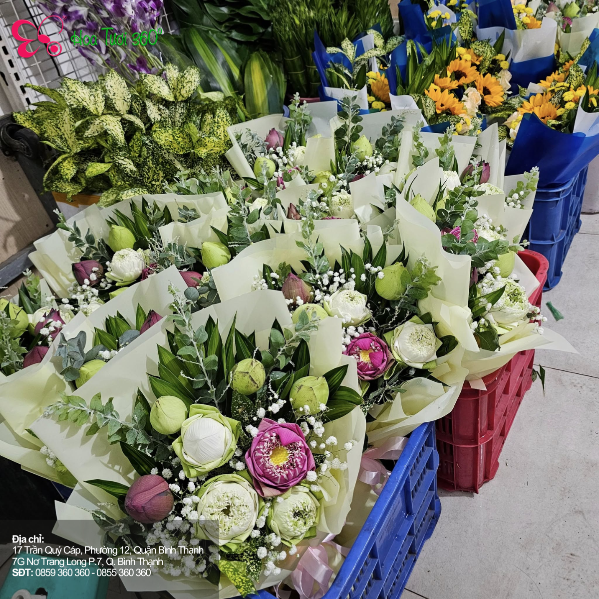 Hoa Giúp Giảm Stress