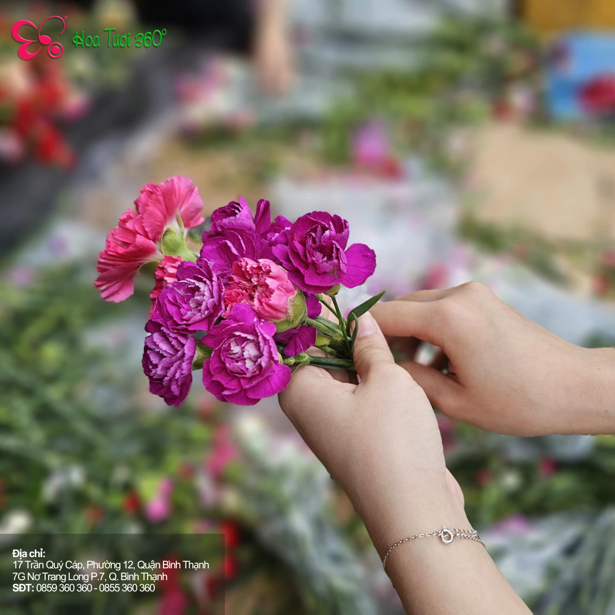 Hoa Theo Tâm Trạng