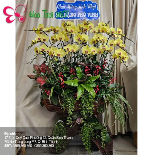 Điện Hoa Toàn Quốc