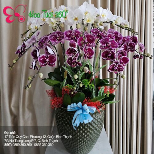 Điện Hoa Toàn Quốc