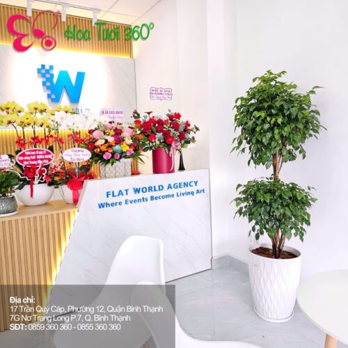 Điện Hoa Toàn Quốc