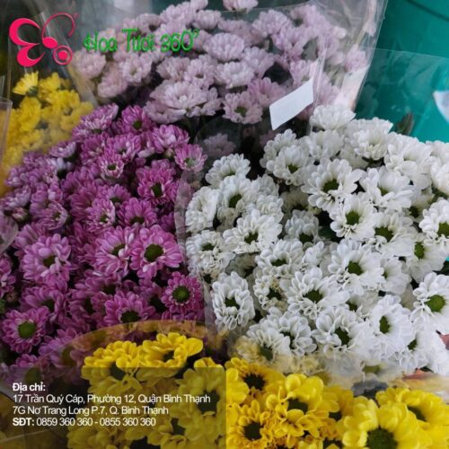Hoa Để Bàn Làm Việc