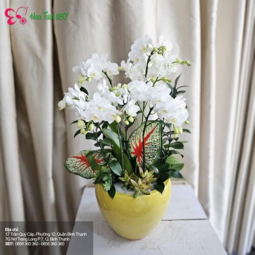 Hoa Để Bàn Làm Việc