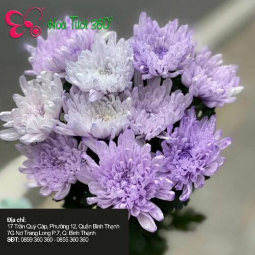 Hoa Tươi Tháng 10