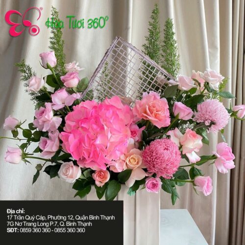 Hoa tươi tháng 11