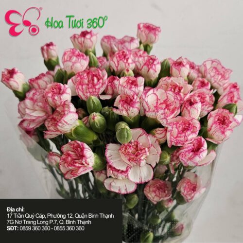 Hoa tươi tháng 11