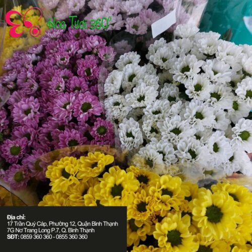 Hoa tươi tháng 11