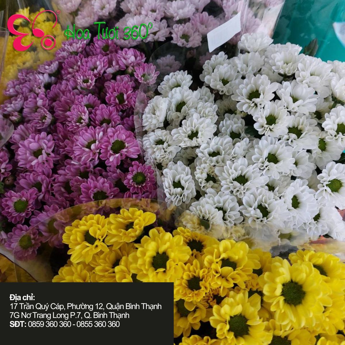 Hoa tươi tháng 11