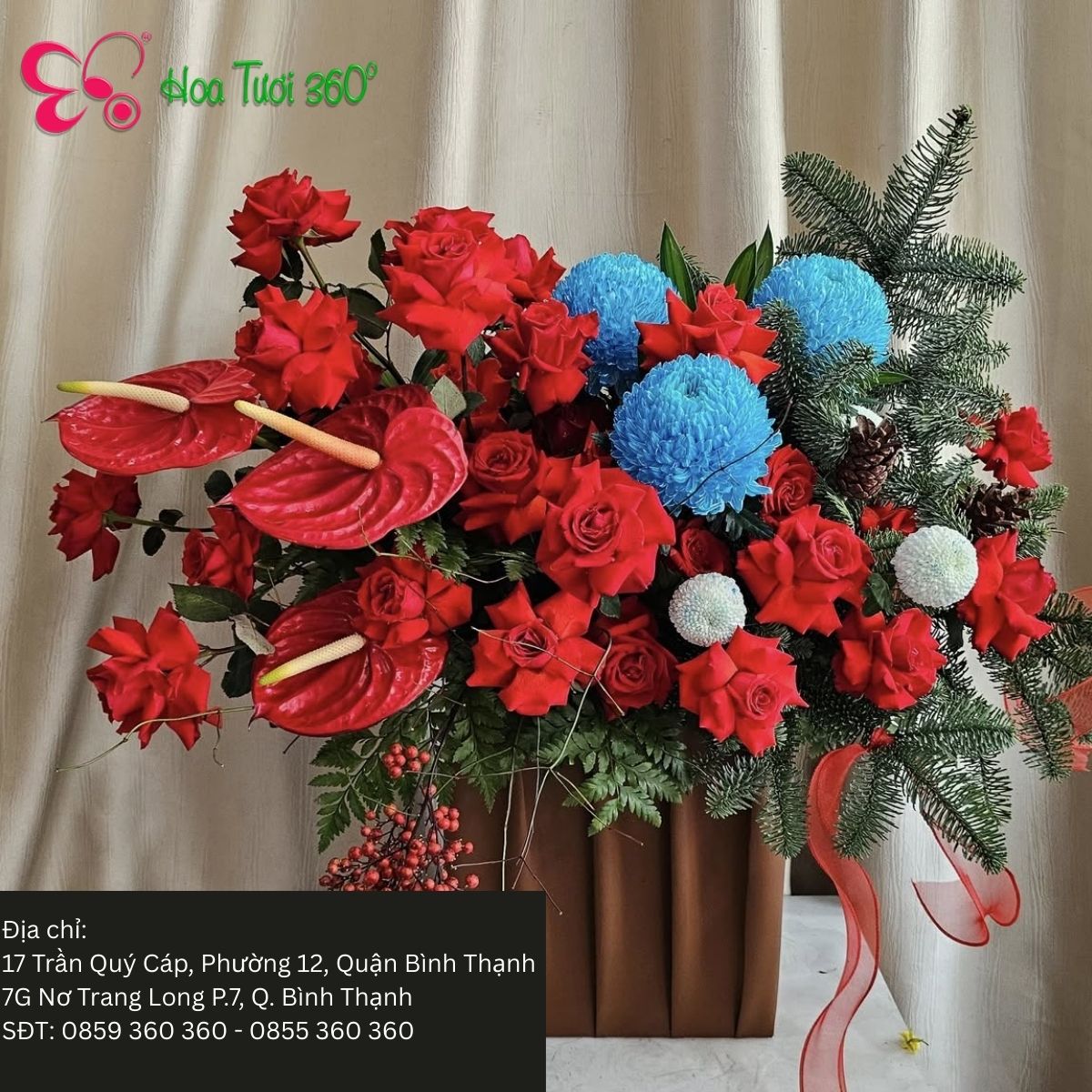 Hoa mừng giáng sinh